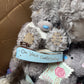 Random Mix Me To You Teddy Bears Tagged RRP £950