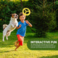 100 X Dog Flying Disc 3 COLOURS EVENish MIX