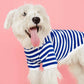 80X Pet Striped T-shirt