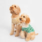 80X Pet Striped T-shirt