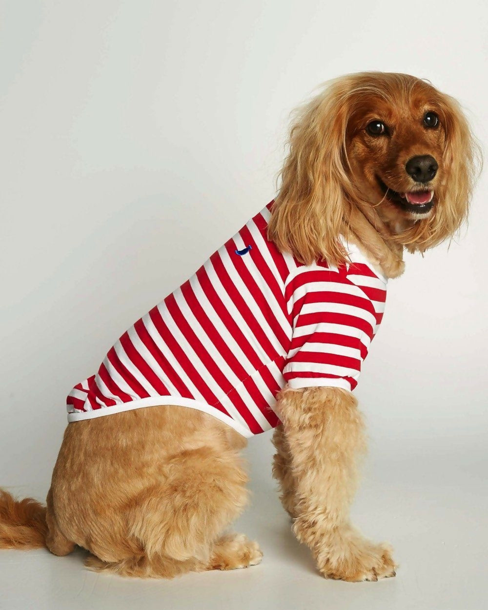 80X Pet Striped T-shirt